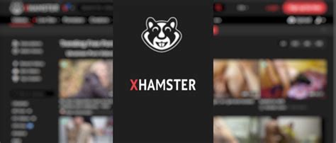 free.porno|xHamster.com